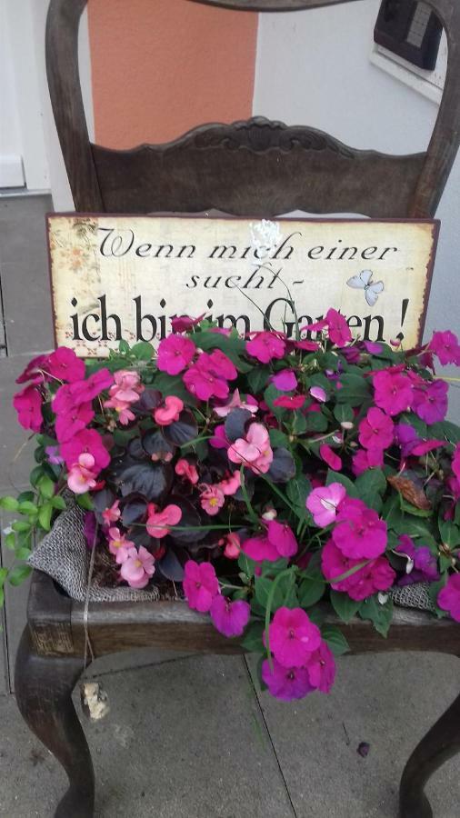 Fewo 1 Waren Mueritz - Haus Buchen Am Tiefwarensee - 1 Zi エクステリア 写真